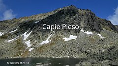 2025_06_17_Capie_Pleso